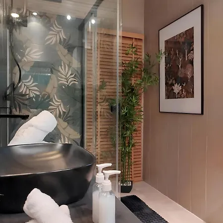 Apartamento Vieille Stanislas