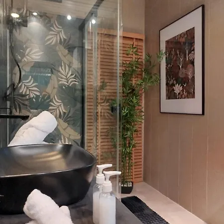 Vieille Stanislas Apartamento Nancy