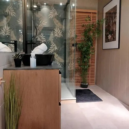 Apartamento Vieille Stanislas *