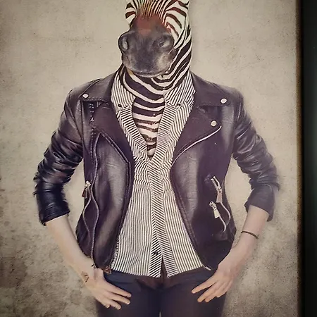 Vieille Stanislas Apartament Nancy