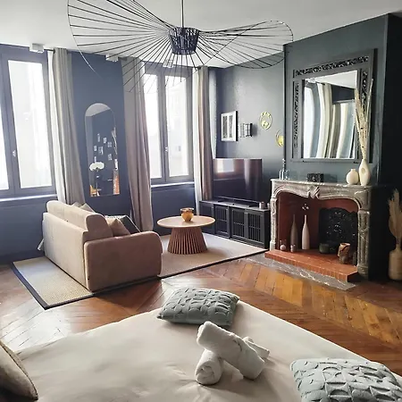 Vieille Stanislas Apartment Nancy