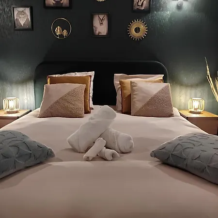 Vieille Stanislas Apartament *