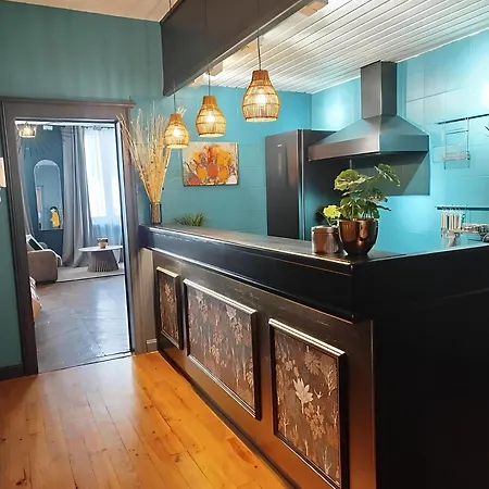 Vieille Stanislas Apartament Nancy