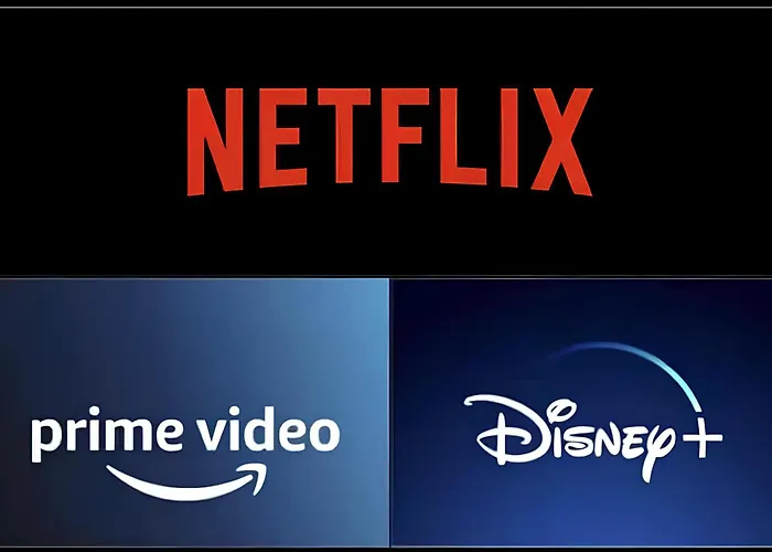 Vieille Stanislas Apartmán *