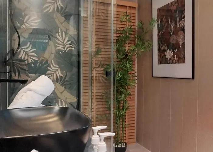 Vieille Stanislas Apartmán Nancy