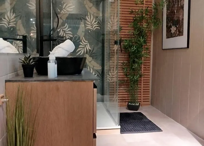 Appartement Vieille Stanislas *