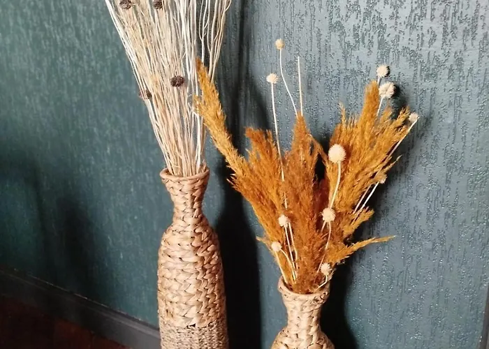 Vieille Stanislas * Nancy