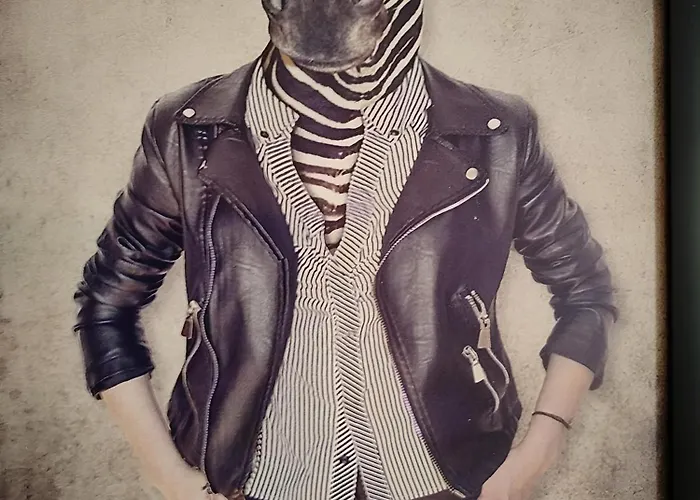 Vieille Stanislas Apartmán Nancy