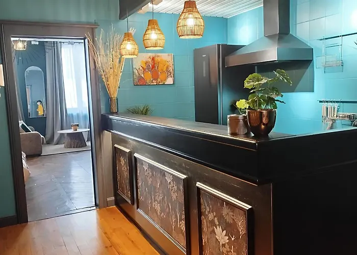 Vieille Stanislas Appartement Nancy